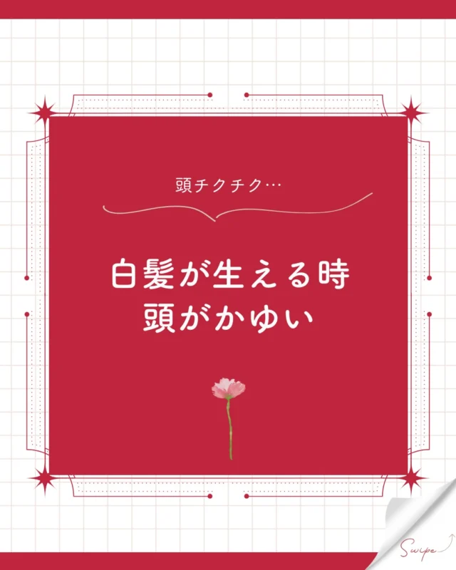 頭がチクチク、ムズムズ痒いなと思ったら白髪が生えてたって経験はありませんか？🤔
「気のせいかな…？」と思いがちですが、実は白髪ならではの髪質や細胞の変化が原因なんです！
今回は、白髪が生えるときに頭皮がかゆくなる3つの理由と、NGな行動・正しい対策をまとめました💡

💡 白髪が生えると痒くなる3つの理由
① 黒髪より「太くて平べったい」
白髪は黒髪よりも少し太く硬い特徴があります。
さらに断面が「平べったい形」をしているため、生えるときに毛穴を刺激してかゆみを引き起こします。
② 伸びるスピードが速い
メラニン色素（黒い色）を作る工程をパスして生えてくるため、黒髪よりも成長速度が速いです。
毛穴の中を急に突き進むときの摩擦でチクチクしやすくなります。
③ 毛根での「プチ炎症」
色を作る細胞が活動を停止するとき、頭皮の中で目に見えないほどの小さな炎症が起こります。
この微細な炎症がかゆみセンサーを刺激しています。

⚠️ 絶対にNG！白髪を抜くのはダメ！
かゆいからといってブチッと抜いてしまうと、毛穴が変形して次に生える髪がさらにうねったり、毛根が傷ついて二度と髪が生えなくなるリスクがあります🙅‍♀️

🌿 すぐできる対策
・冷やす： 保冷剤をタオルに包んで優しく当てると痒みが落ち着きます。
・頭皮の保湿： 頭皮用化粧水で乾燥を防ぎましょう。
・白髪染めの見直す： 染めた直後から痒い場合は、カラー剤のアレルギー（ジアミン等）の可能性もあるので無理せず皮膚科へ！

当店でも頭皮用化粧水の「ナシードスキャルプトナー」を販売しております。

180ｇ定価￥1,980のところカラープラス価格￥1,500(税込み)で
販売しておりますので気になる方はお気軽にスタッフまでお声がけください。
商品だけの購入でも大歓迎です。

「知らなかった！」「後で見返したい！」という方は、ぜひ【保存ボタン🔖】を押してストックしておいてくださいね😊

みなさんは白髪が生えるとき、痒みを感じたことはありますか？
ぜひコメント欄で教えてください💬✨

ーーーーーーーーーーーーーーーーーーーーーーーーーーーーーーーーーーーーーーーーー
🌟menu（税込み価格）🌟
・根元染め（2㎝以内）：￥2,780
・全体染め（根元2㎝以上or頭頂部から35㎝まで）：￥3,280
　頭頂部から35㎝以上：＋￥1,000
　頭頂部から55㎝以上：＋￥2,000
・ふんわりボリュームアップカラー：+￥500💗おすすめ💗
・ダメージレス艶カラー（N.カラー使用）：+￥900
・クイックトリートメント：￥1,000
・ちゅるちゅるトリートメント：￥1,500💗人気💗
・とろける髪質改善トリートメント：￥2,500
・NEOアンチエイジングフルセット：￥700
・うるつや持続ホームケアセット：￥980（当店でトリートメントされた方限定での販売）
※髪の長さが頭頂部から85cm以上のお客様は、根元染め、全体染めともに施術をお断りさせていただいております。
ーーーーーーーーーーーーーーーーーーーーーーーーーーーーーーーーーーーーーーーーー
#カラープラス#白髪あるある #頭皮トラブル#白髪 #白髪の悩み