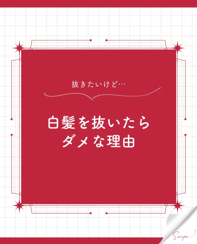 見つけるとついついブチッと抜きたくなる「白髪」…実はそれ、絶対にやってはいけないNG行動なんです！😱

「1本くらい抜いても平気でしょ？」と思っていませんか？
白髪を無理に抜くと、髪や頭皮に修復不能なダメージを与えてしまう理由を3つ解説します💡

⚠️ 白髪を抜いてはいけない3つの理由
① 毛穴が歪んで「もっと強いうねり毛」になる
無理やり引っ張って抜くと、毛穴の形が変形してしまいます。一度歪んだ毛穴からは、さらにウネウネとねじれた頑固な白髪が生えてくる原因に…！

② 毛根が傷ついて「二度と生えてこなくなる」
抜き続けると、髪を作る元となる細胞（毛母細胞）が破壊されます。白髪どころか、その毛穴から髪自体が生えてこなくなり、将来的な薄毛に繋がります。

③ 傷口から雑菌が入って「毛嚢炎（もうのうえん）」になる
毛穴を無理に引っ張って抜くと、皮膚の奥に目に見えない小さな傷がついてしまいます。そこに頭皮の皮脂や雑菌が入り込むと、赤く腫れたニキビのような「毛嚢炎」を引き起こし、激しいかゆみや痛みの原因になります。

✂️ 白髪を見つけたときの正しい対処法
目立つ白髪を見つけたら、抜かずに「細いハサミで根元近くからカット」「バームなどで馴染ませる」「白髪を隠すアイテムを使う」のが頭皮を守る方法です！

ついつい抜きそうになった時の予防として、ぜひ【保存🔖】しておこう！

みなさんは気になった白髪、どう処理していますか？
「つい抜いちゃってた…」「ハサミで切ってる！」など、コメントで教えてください💬✨

#白髪 #白髪悩み#ヘアカラー専門店 #カラープラス エイジングケア